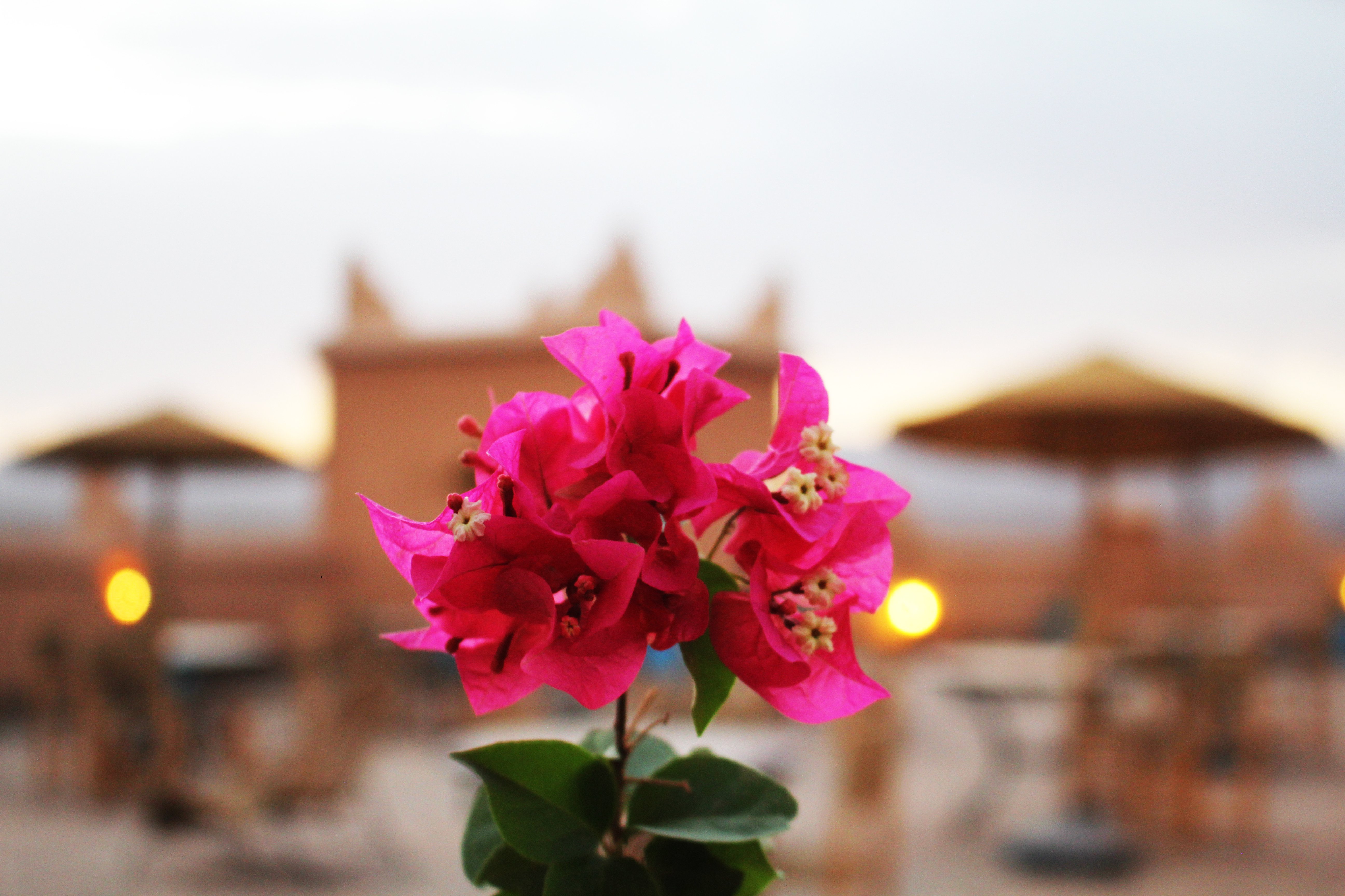 Hôtel Kasbah Ennakb-官方