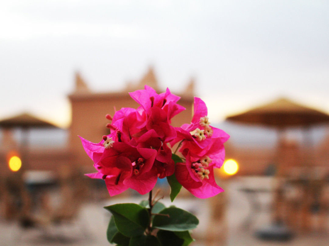 Tazzarine酒店住宿-Hôtel Kasbah Ennakb