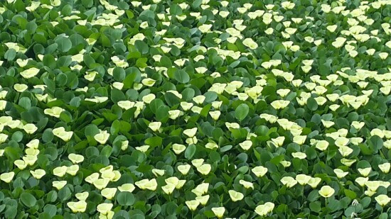 海东湿地公园-昆明市必去景点