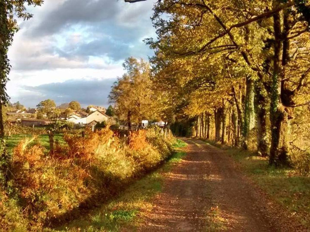 Oradour-Saint-Genest旅游攻略图片