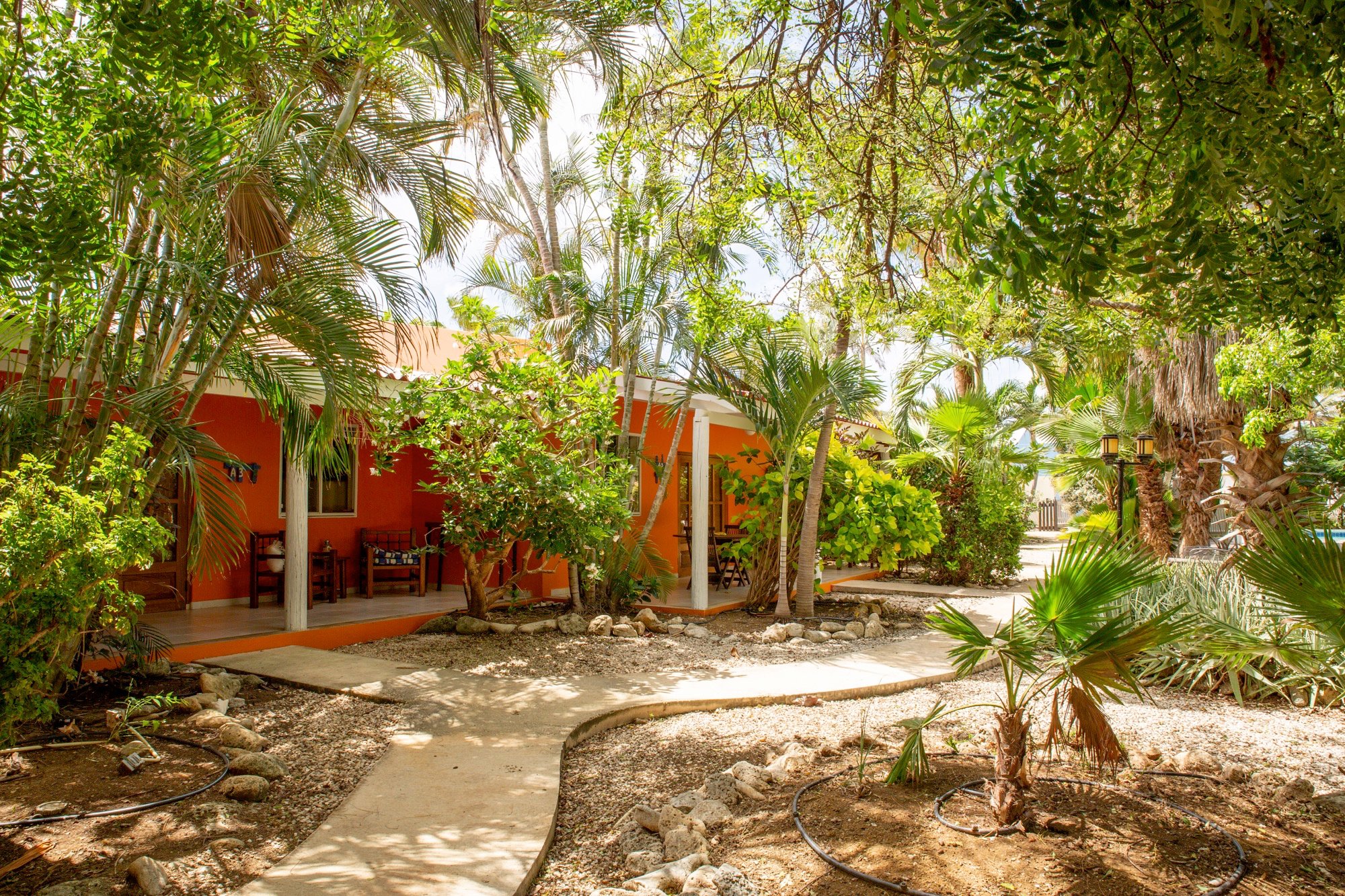 Tropical Divers Resort-官方