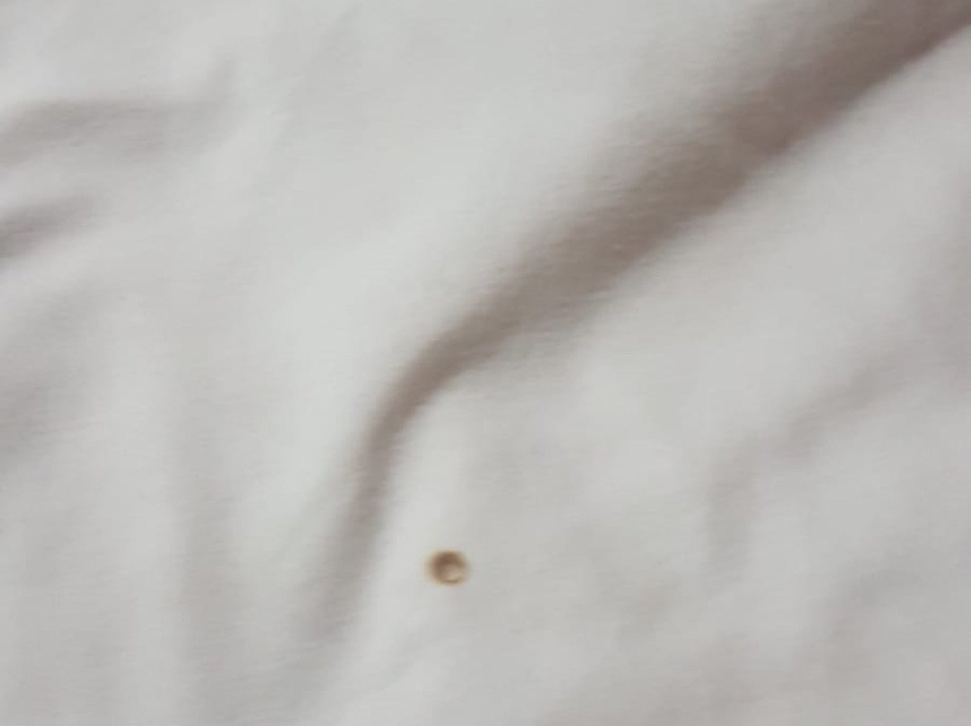 Motel 6 Lexington Park, MD