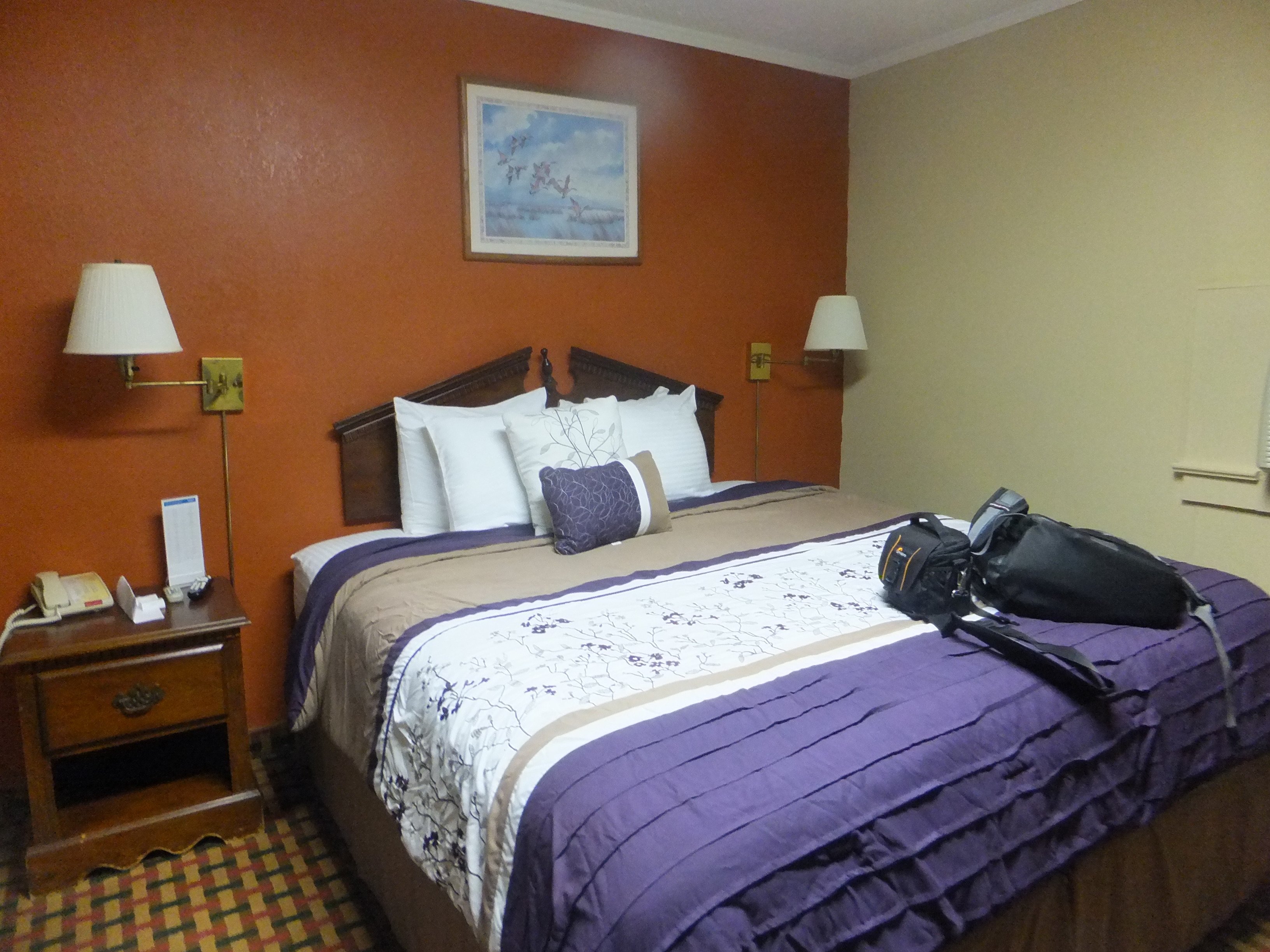 Savannah Motel-官方
