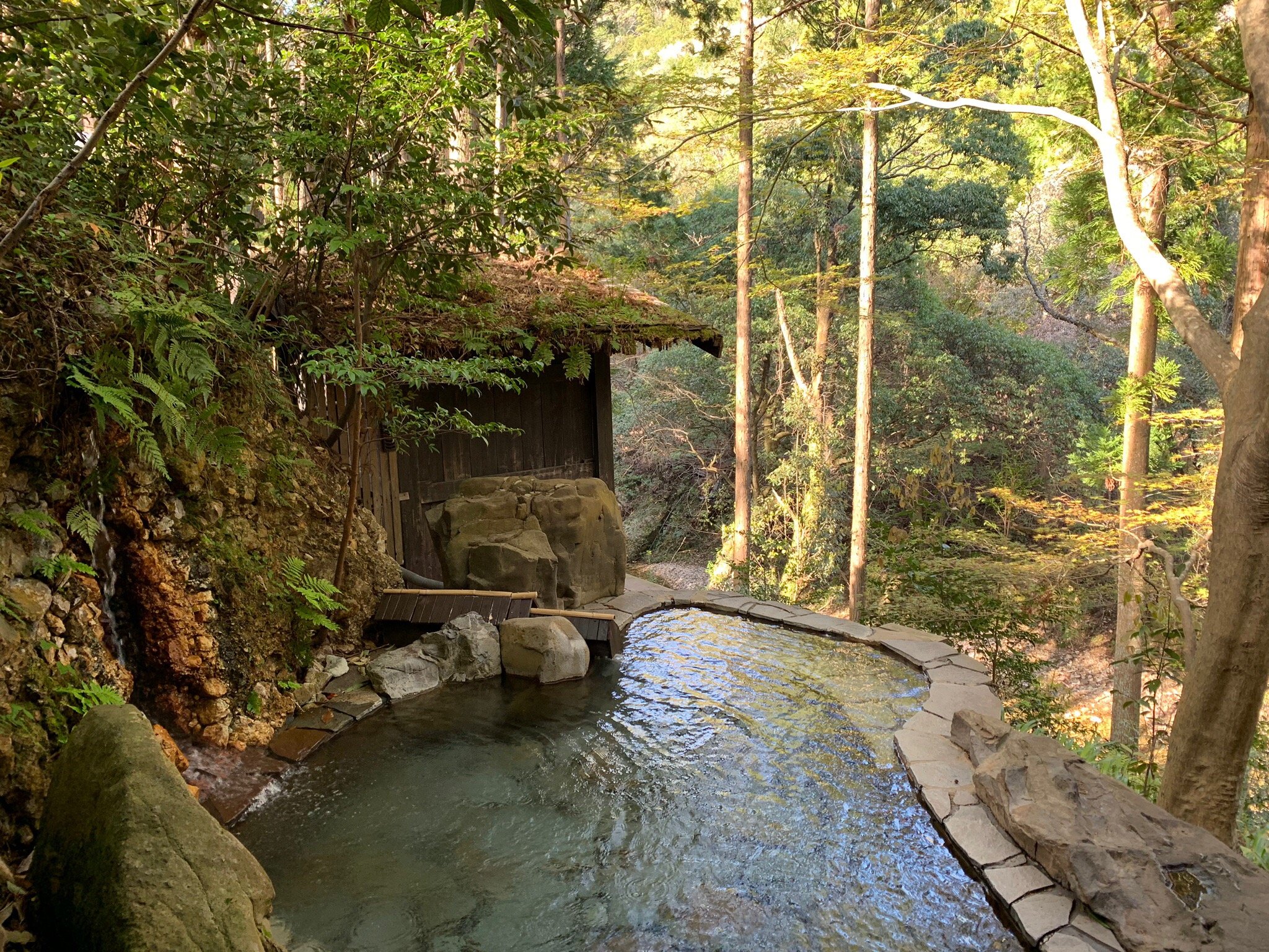 Hazu Gassho-官方