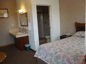 Hotel Los Arcos Parral-浴室