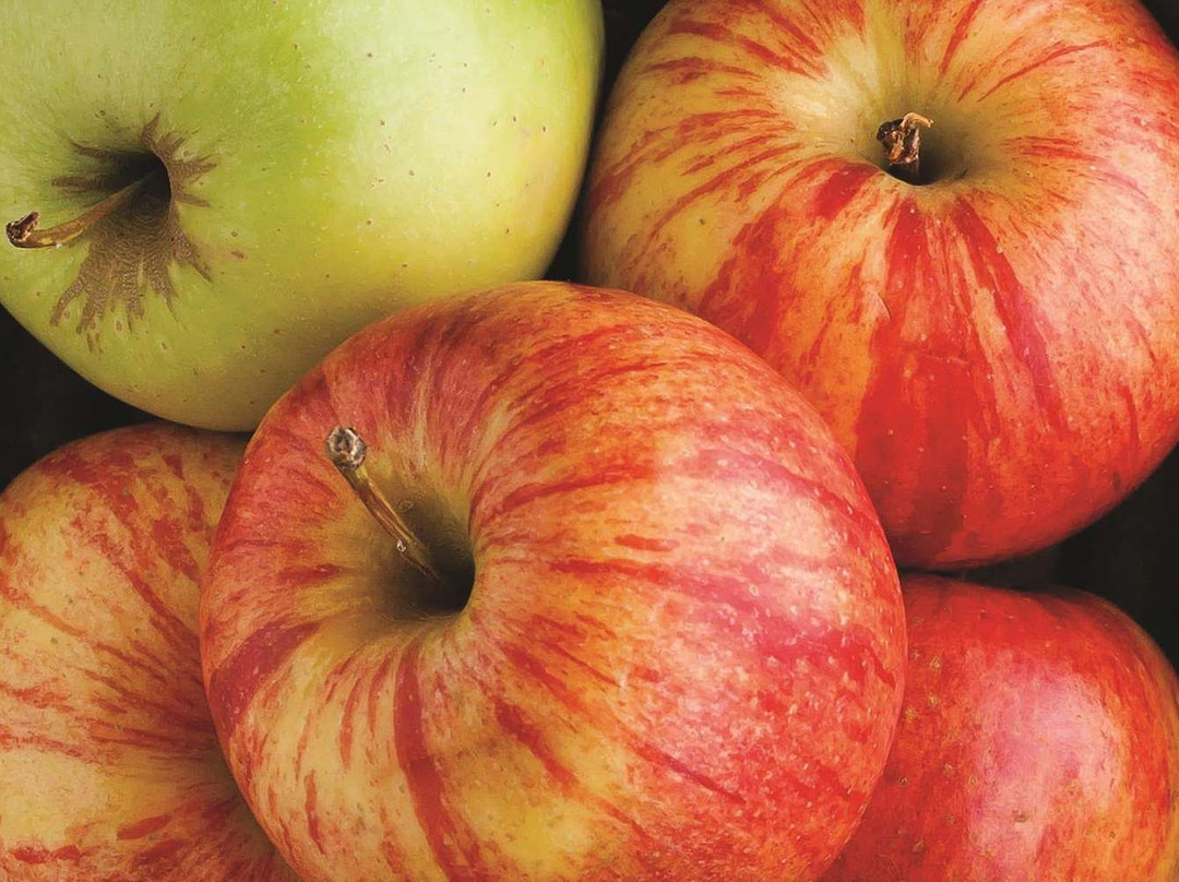 La Quinta Inn & Suites Houston New Caney主图