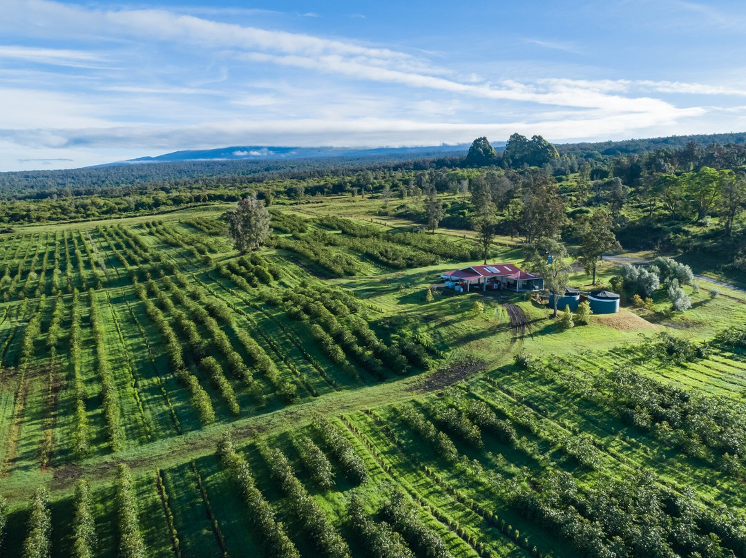 格林威尔农场-基亚拉凯库亚必去景点