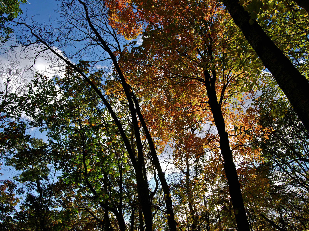 Kettle Moraine State Forest-威斯康星必去景点