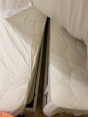 Nevskiye Zvezdy主图