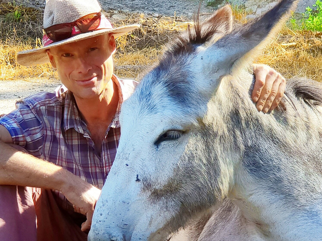 Happy-Donkeys Algarve-Monchique必去景点