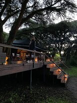 Shades Of Africa Safaris-内罗毕必去景点