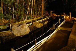 Sennen no Mori Water-秦野市必去景点