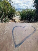 Get Shucked Oyster Bar-布鲁尼岛必去景点