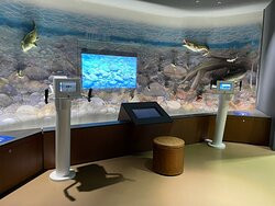 Sagamigawa Fureai Science Museum Aquarium Sagamihara-相模原市必去景点