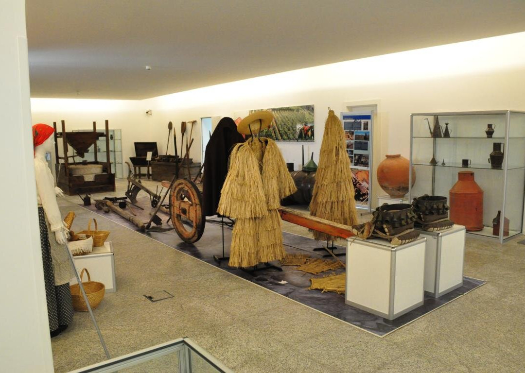 Museu Municipal de Resende景点图片