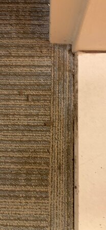 Hampton Inn & Suites Providence Smithfield主图