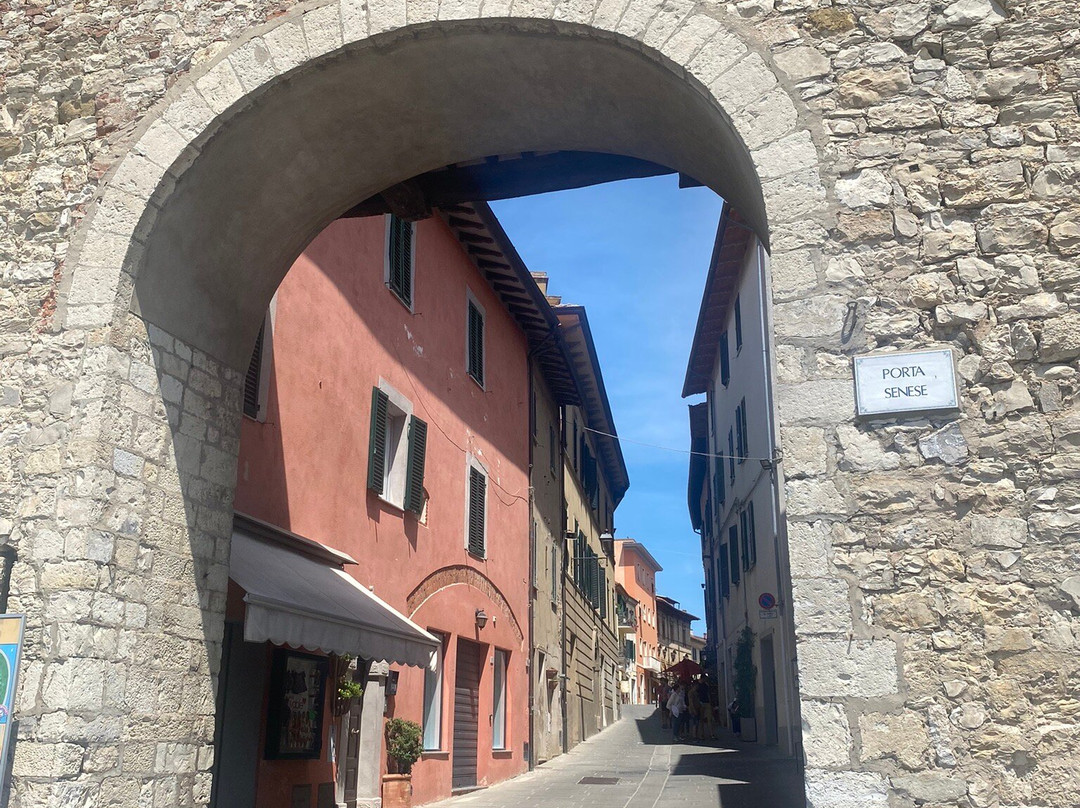 Porta Senese景点图片
