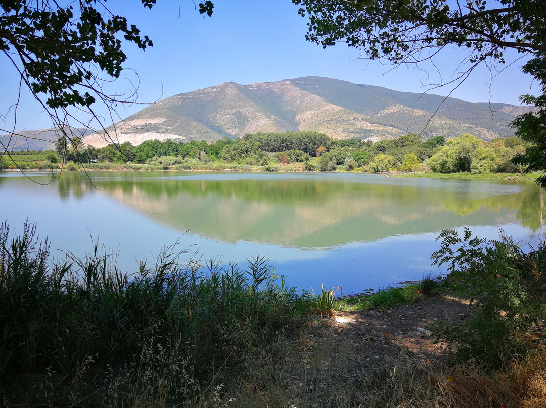 Riserva Naturale Lago di Falciano景点图片