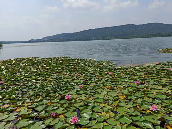 pista ciclabile lago di Comabbio景点图片