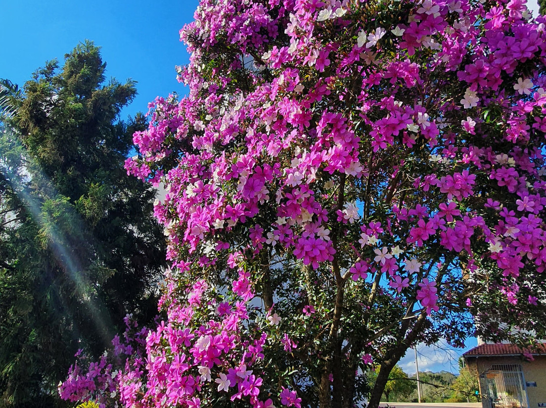 ParóquiaSão Miguel-Dois Irmaos必去景点