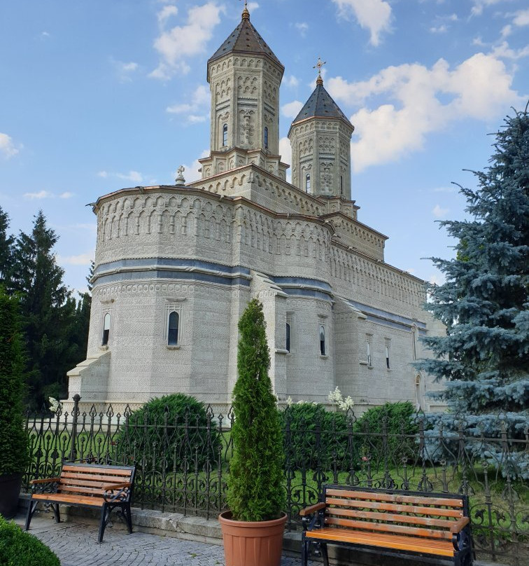 Mănăstirea Sfinții Trei Ierarhi景点图片