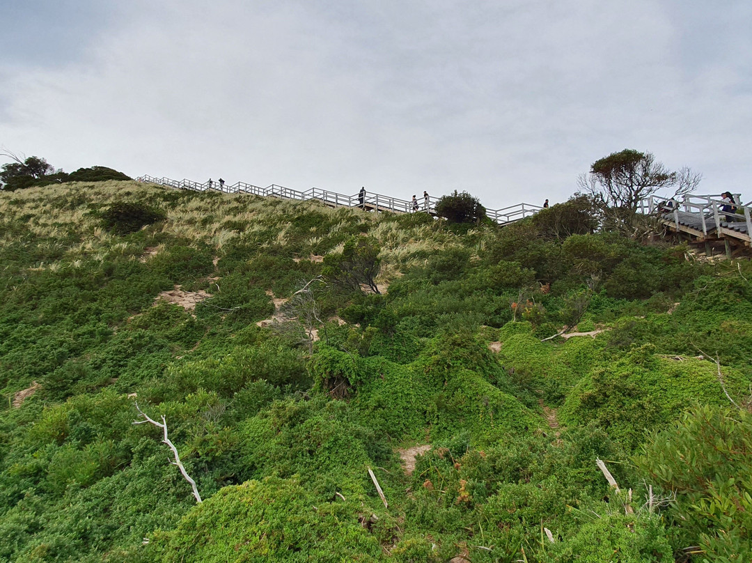 The Neck Lookout-North Bruny必去景点