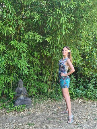 Zazen en Provence主图