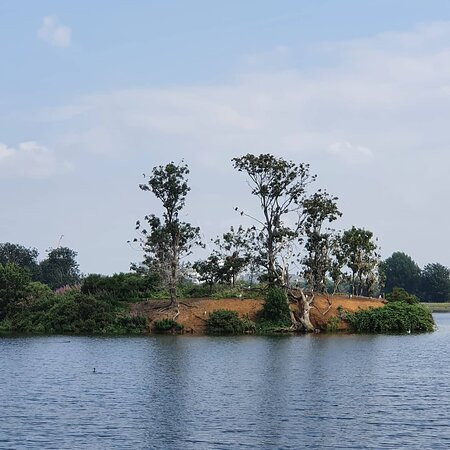 Walthamstow Wetlands-伦敦必去景点
