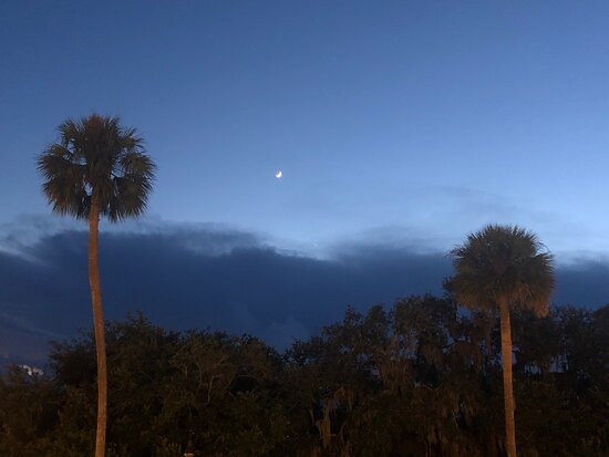 Hilton Garden Inn Ocala Downtown主图