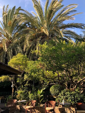 Niko Travel-科林比亚必去景点