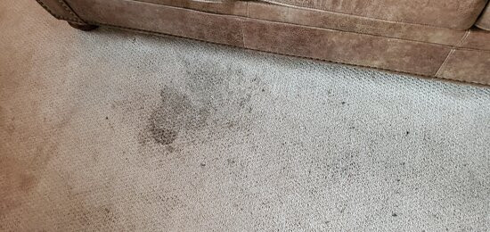 Cumberland Inn and Spa主图