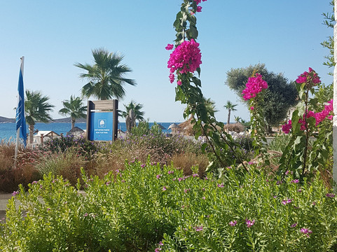 塞亚海滩酒店主图