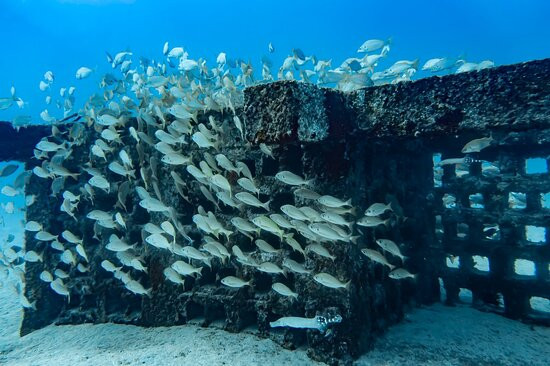 Scuba Sur-阿尔吉内金必去景点