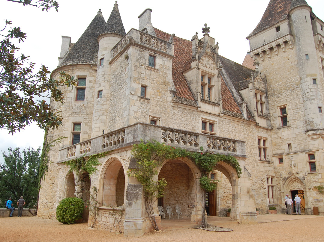 Château des Milandes景点图片