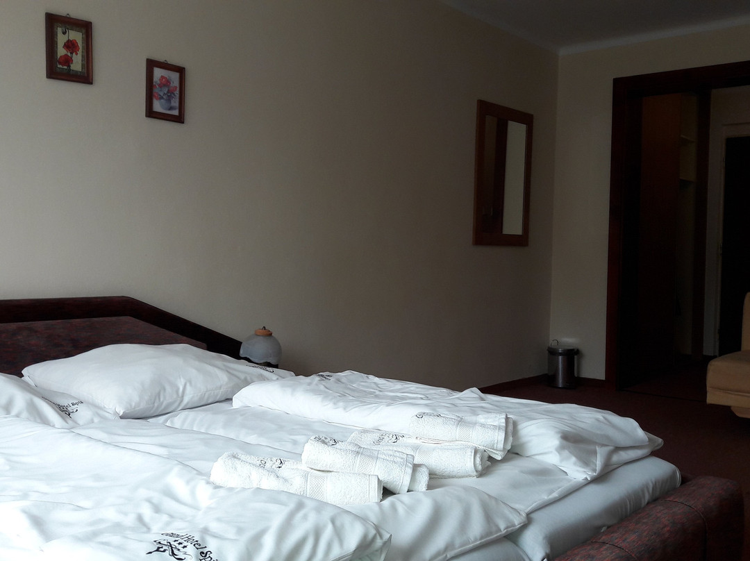 Grand Hotel Spiš主图
