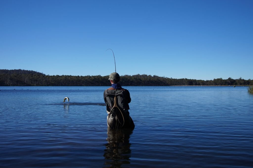 Trout Tales Tasmania景点图片