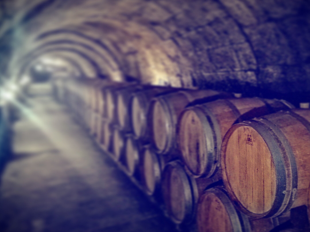 Wine Tours From Madrid-马德里必去景点