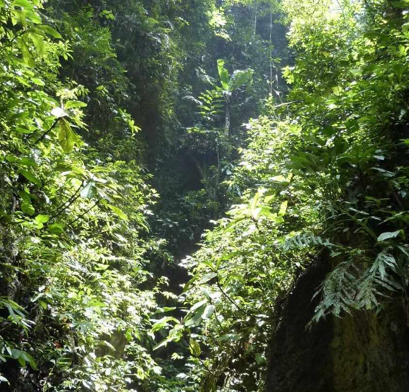 Lore Lindu National Park景点图片