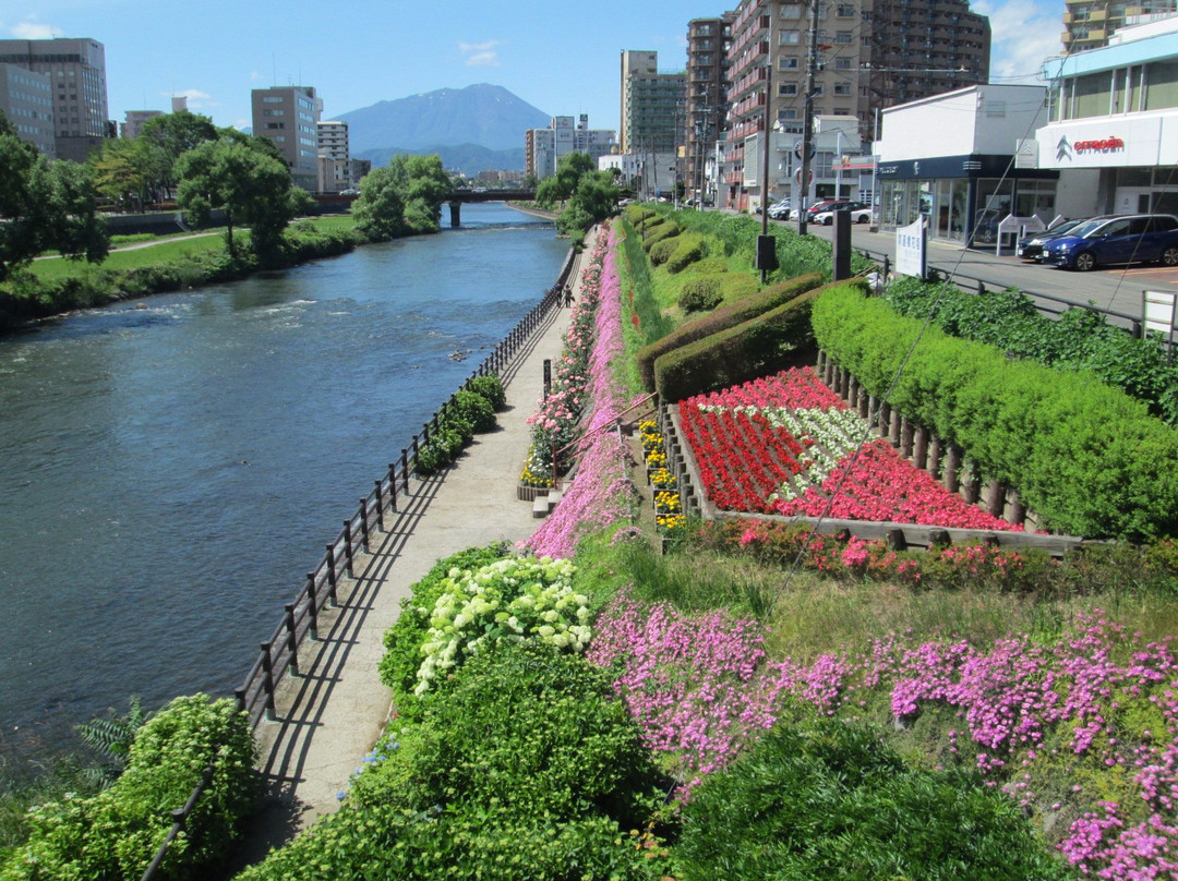 Kaiunbashi Bridge景点图片