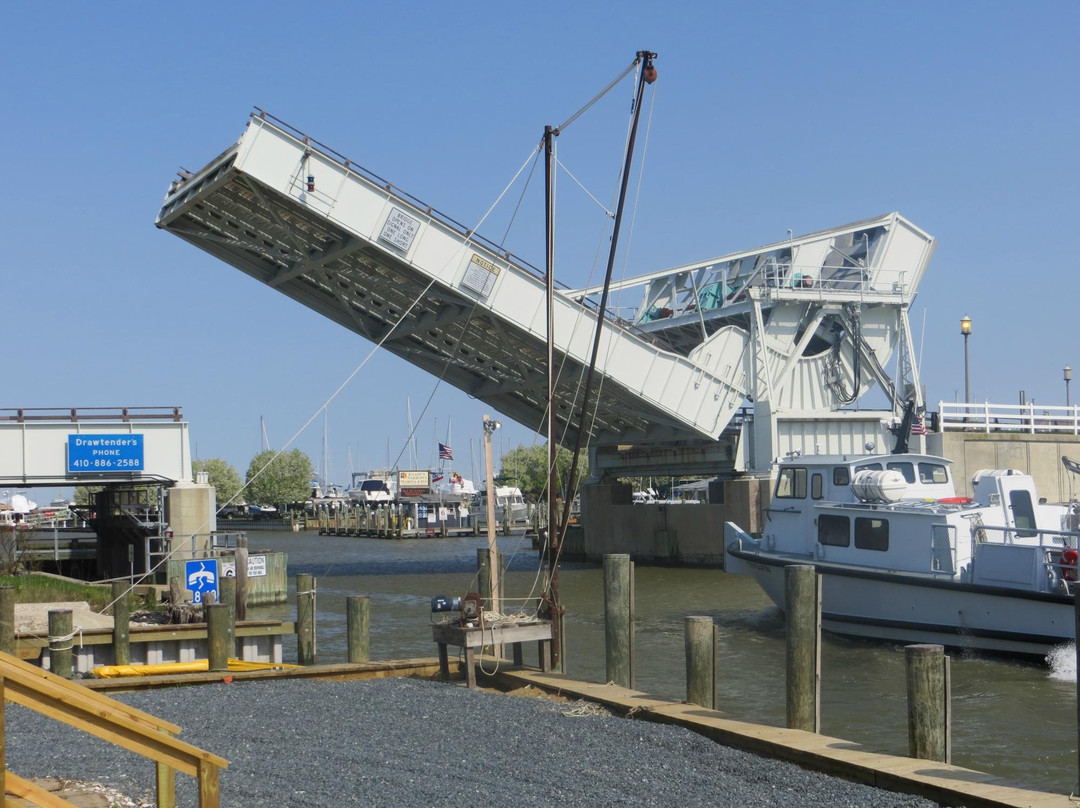 Phillips Wharf Environmental Center景点图片