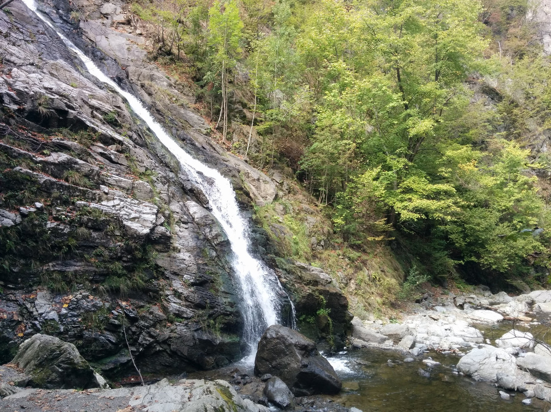 Cozia National Park景点图片