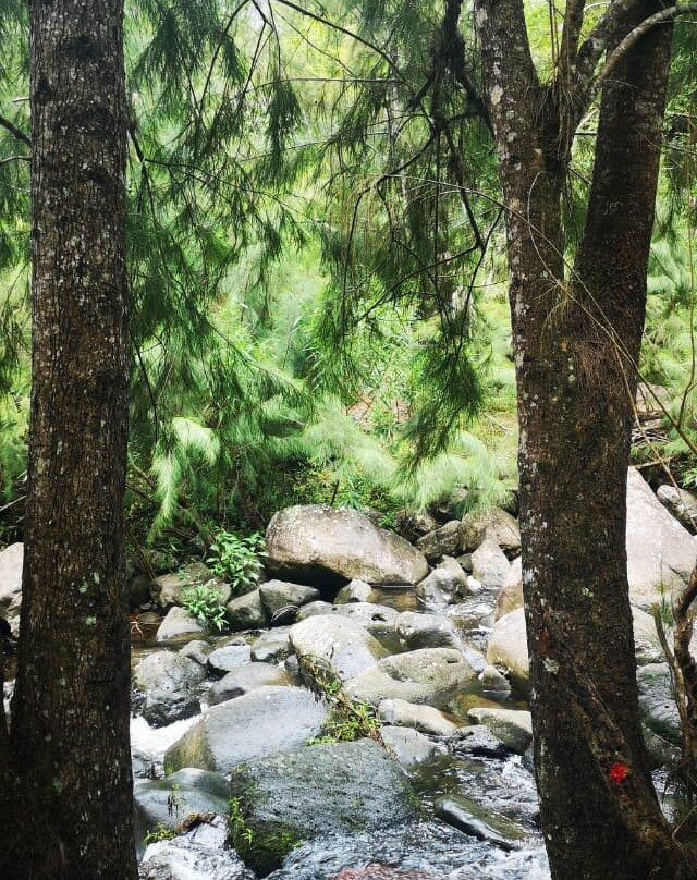 Z'ile 4x4景点图片
