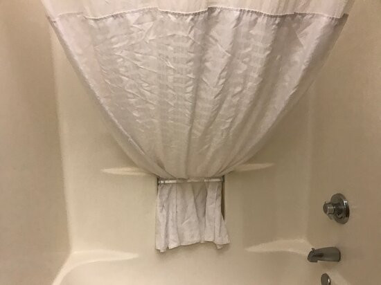 Comfort Suites University主图