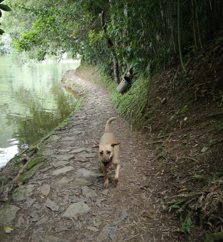 Laguna el Tabacal-La Vega必去景点
