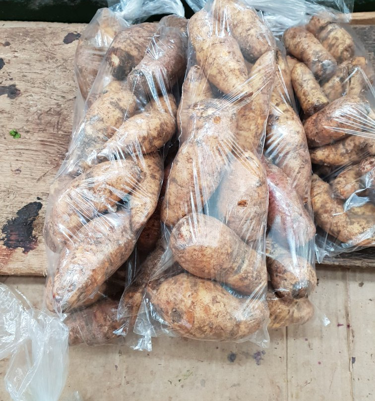 Plaza Principal de Girardot-Girardot必去景点