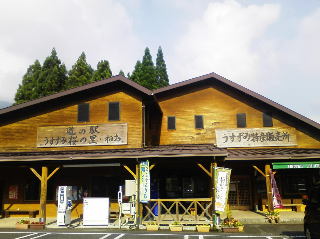 Michi-no-Eki -Usuzumi Village of Cherry Tree , Neo-本巢市必去景点