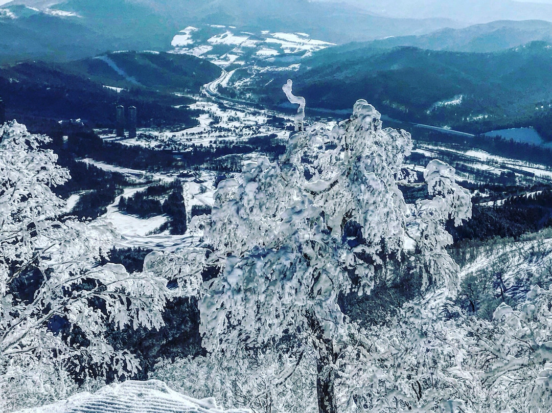 占冠村旅游攻略图片