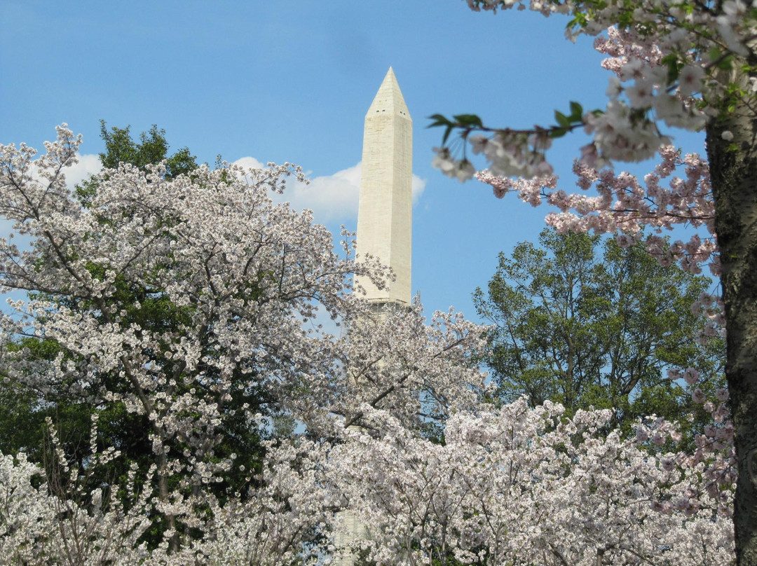 City Sightseeing Washington DC景点图片