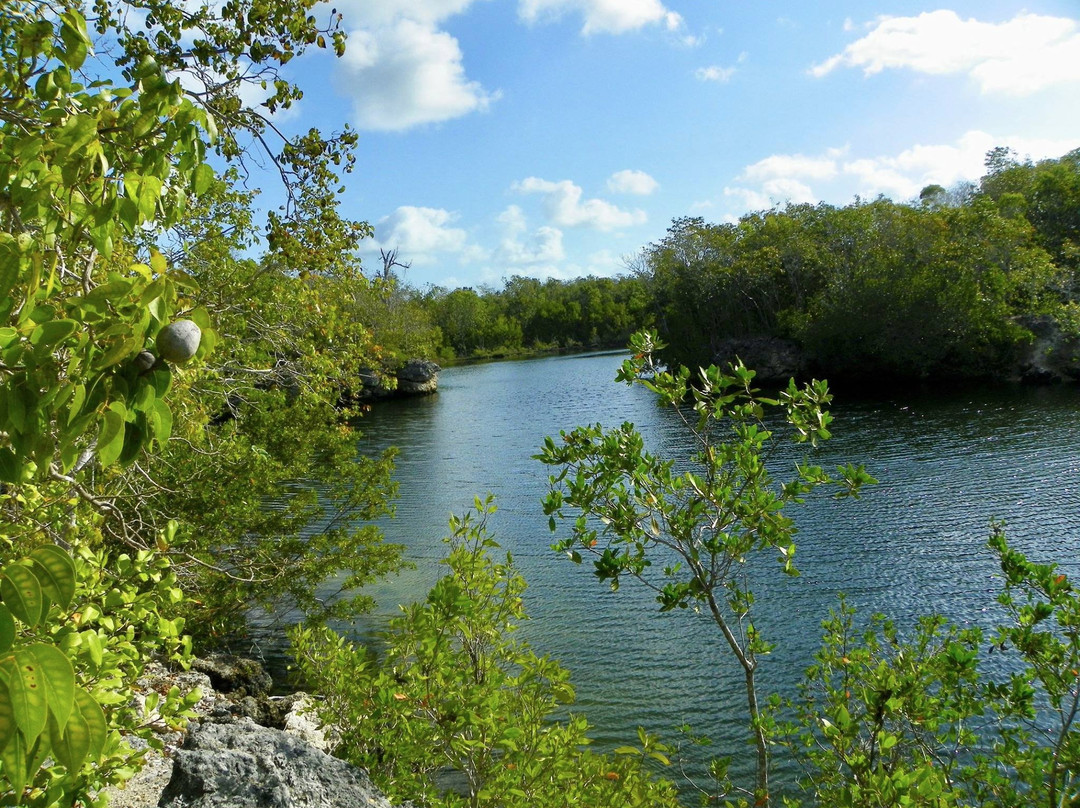 Dagny Johnson Key Largo Hammock Botanical State Park景点图片