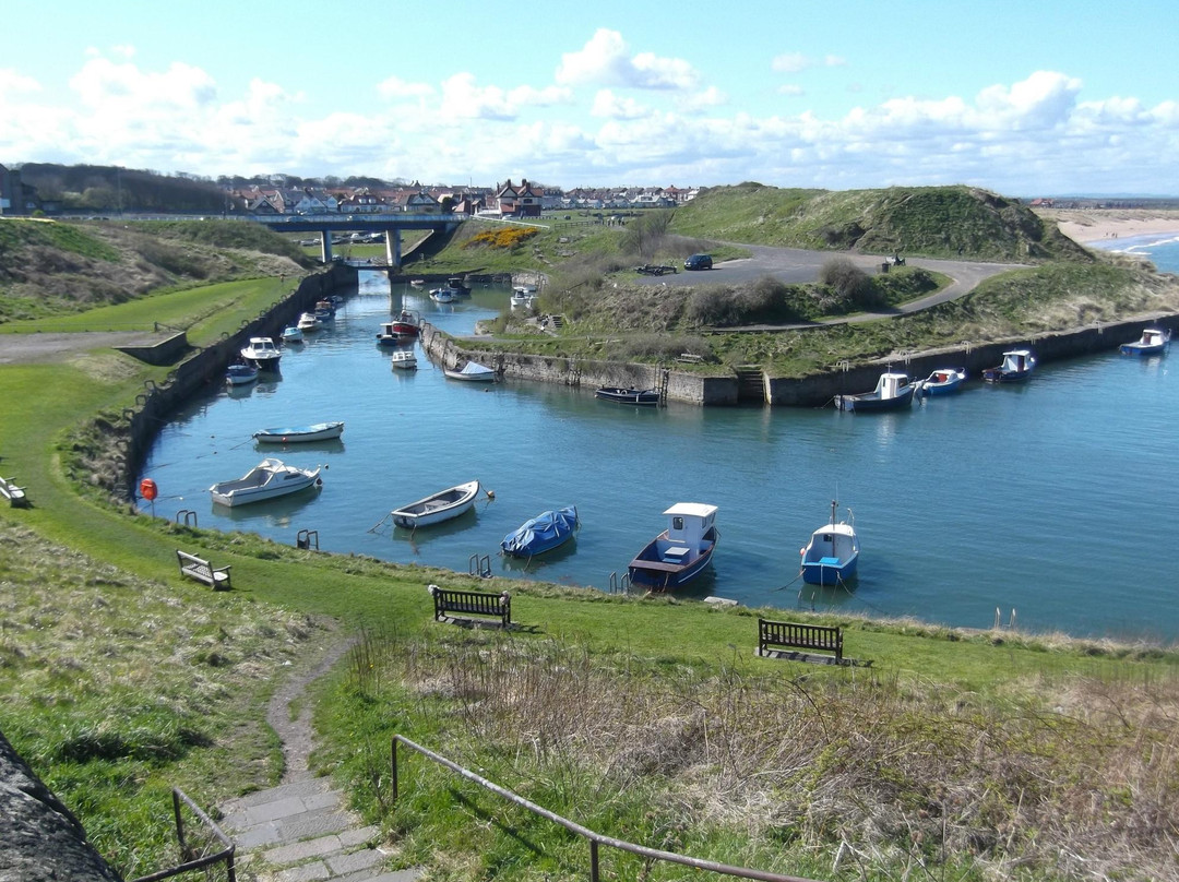 Seaton Sluice旅游攻略图片